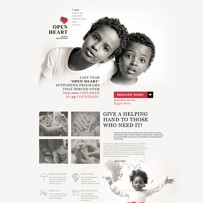 World of Charity WordPress Theme (charity WordPress theme) Item Picture