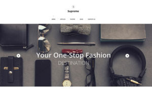 best wordpress themes fashion blogs feature