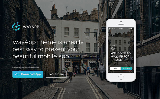best wordpress themes promoting apps feature
