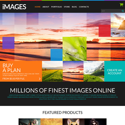 Stock Images WooCommerce Theme (WooCommerce theme for selling stock photography) Item Picture