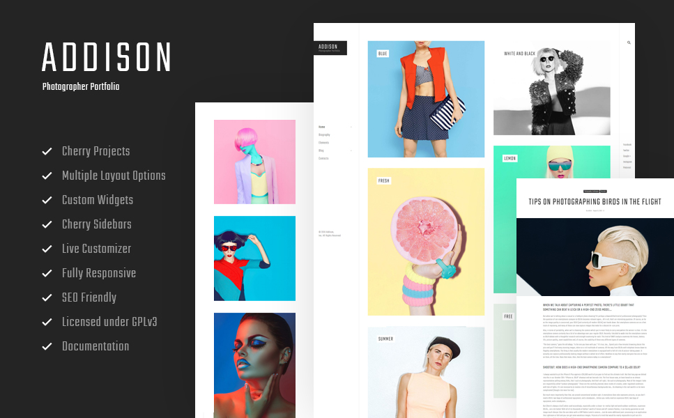 Addison (WordPress theme for photographers) Item Picture