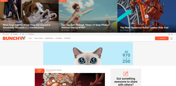 Bunchy (viral WordPress theme with frontend submission) Item Picture