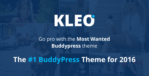 KLEO (WordPress theme) Item Picture