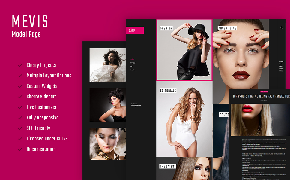 Mevis (WordPress theme for photographers) Item Picture