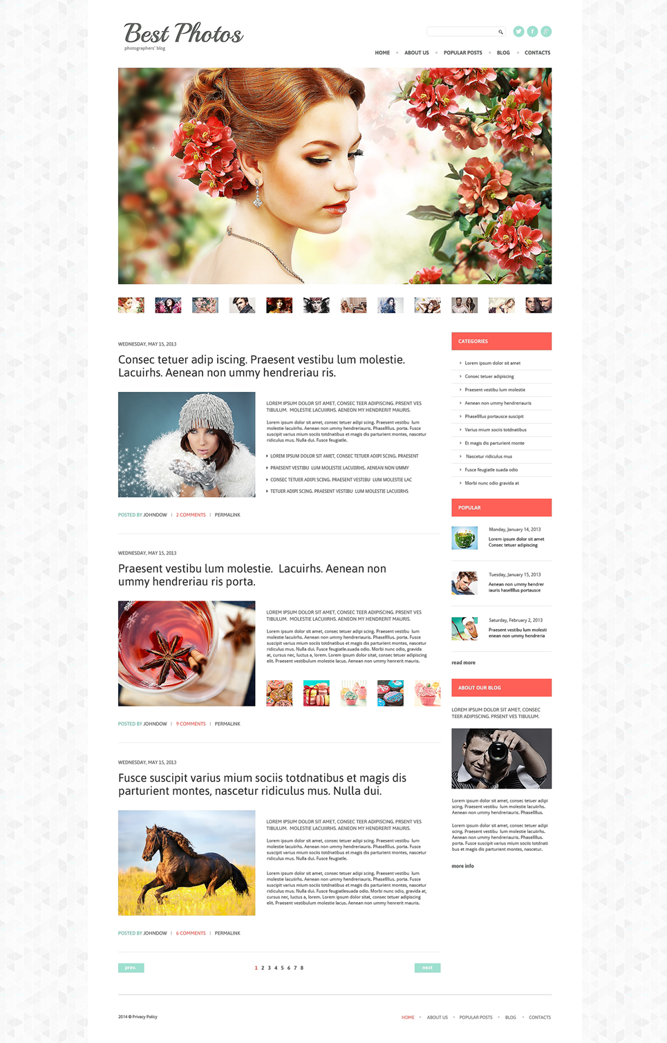 Photo Video Blog WordPress Theme (WordPress theme for photographers) Item Picture