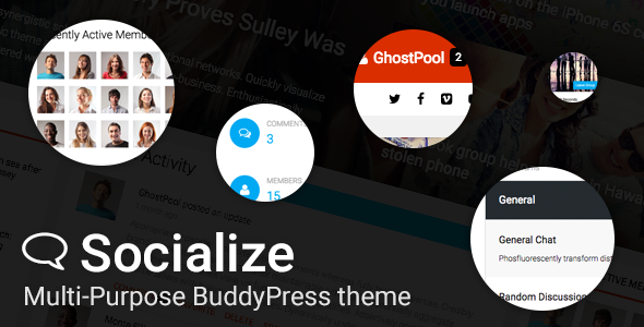 Socialize (WordPress theme) Item Picture