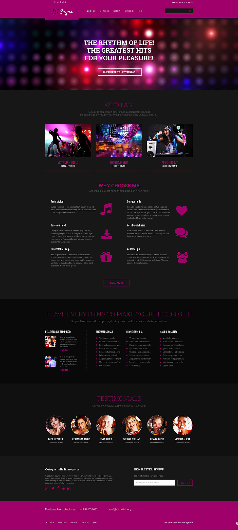DJ (WordPress theme) Item Picture