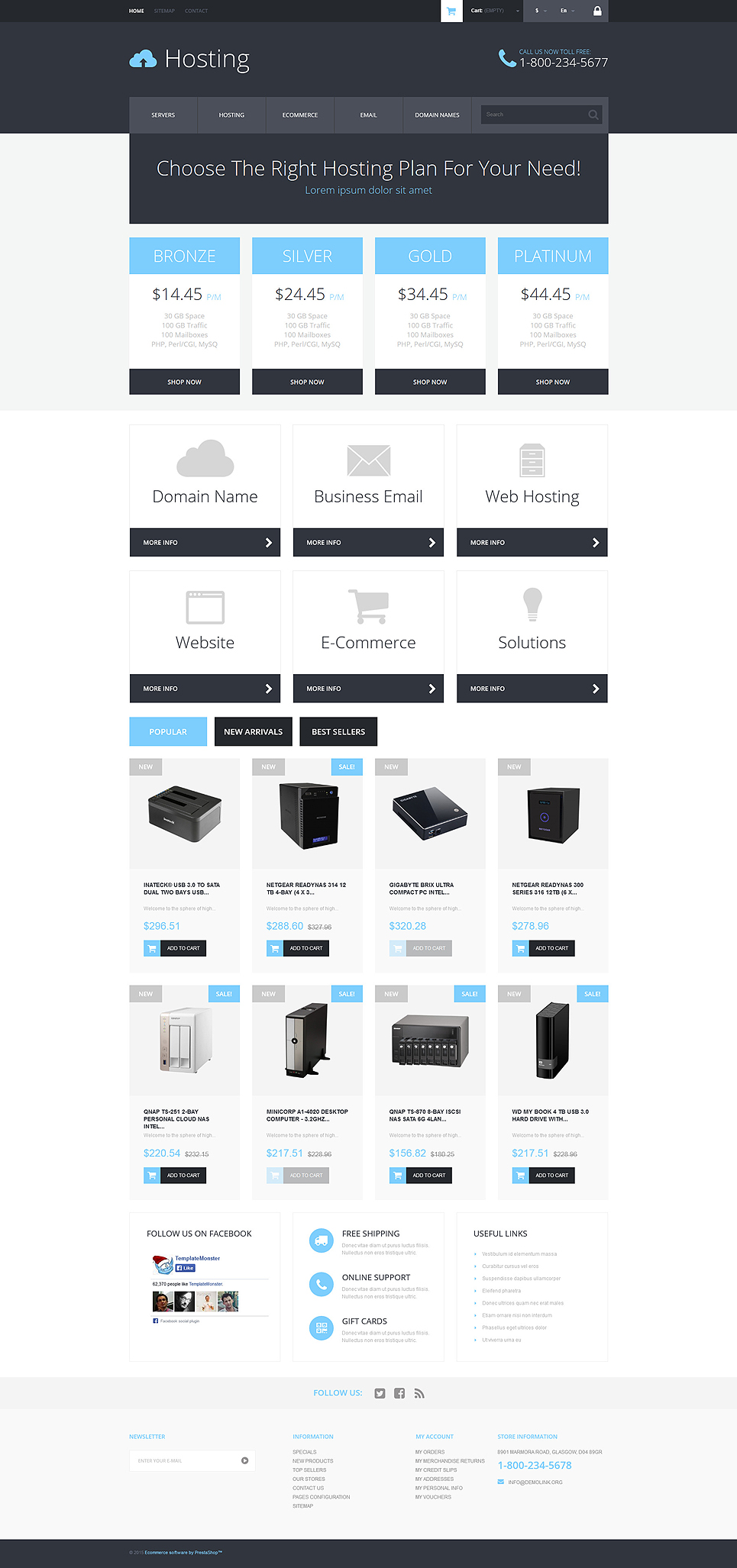Hosting Services Provider