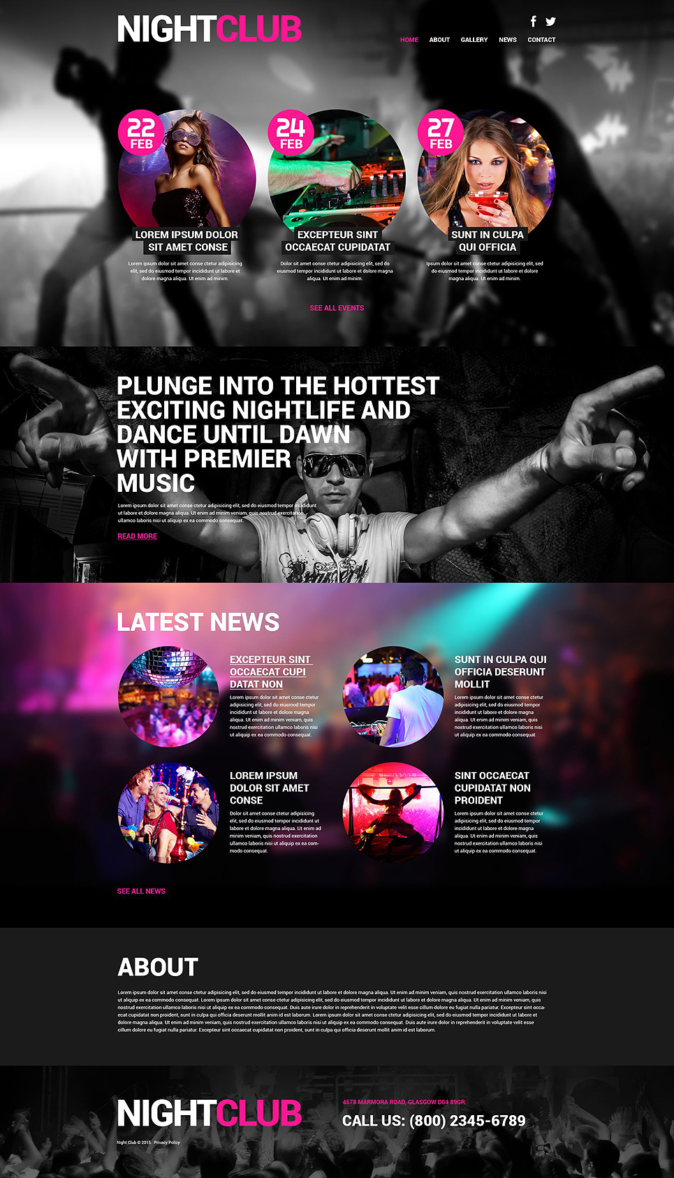 Night Club Euphoria WordPress Theme