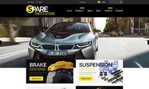 Auto Parts Store