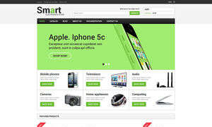 Flat Green Leccy Store