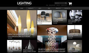 Lighting & Electricity Store