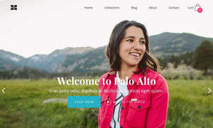 Palo Alto (PaloAlto Style)