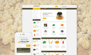 Boldly Poultry