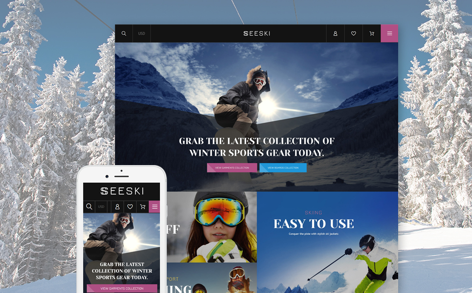 Skiing Supplies (ecommerce website theme) Item Picture