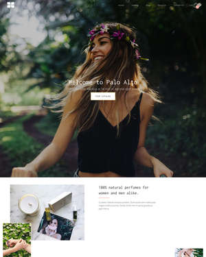 Palo Alto Screenshot