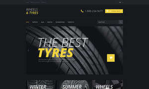 Wheels & Tires