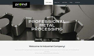 Accounting Website