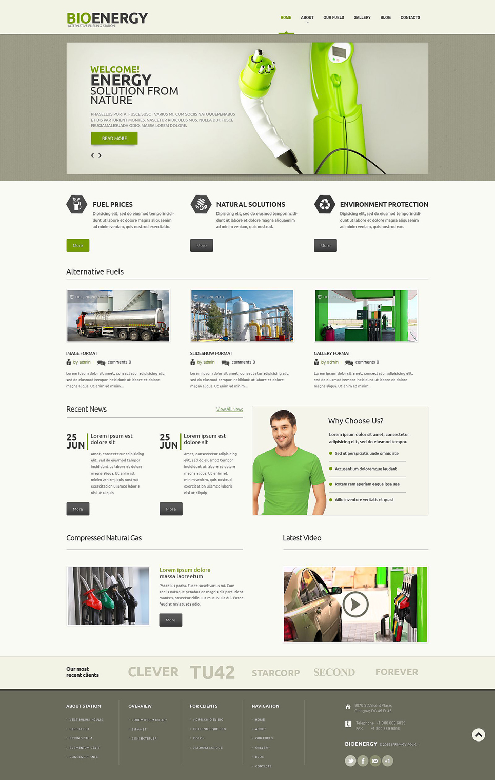 Biofuel (theme for WordPress) Item Picture