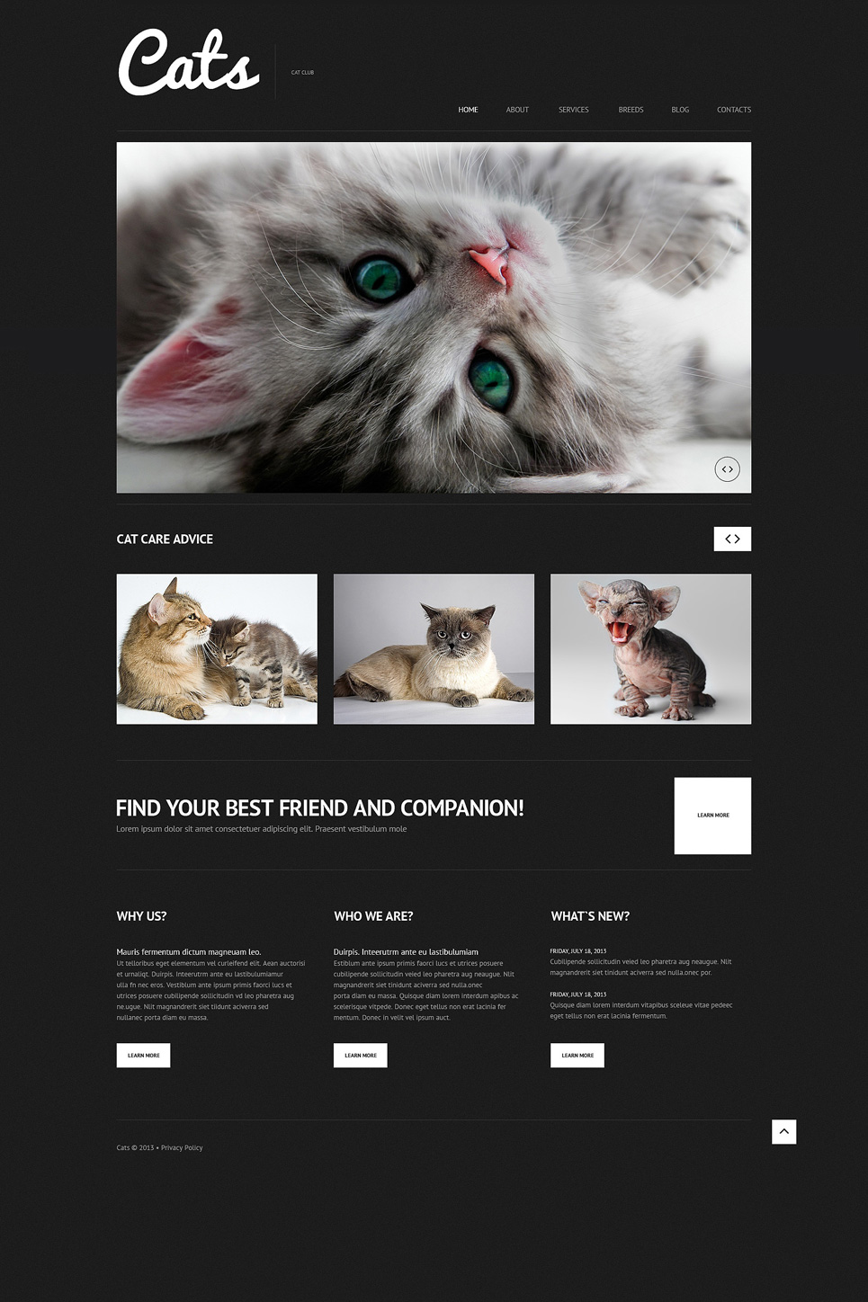 Cat (WordPress theme) Item Picture