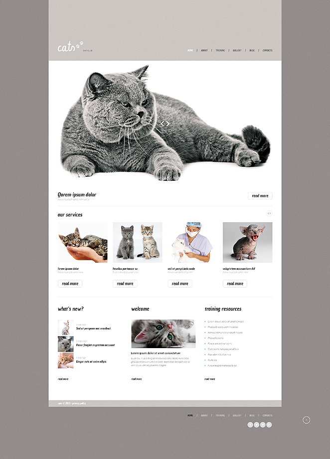 Cat (theme for WordPress) Item Picture