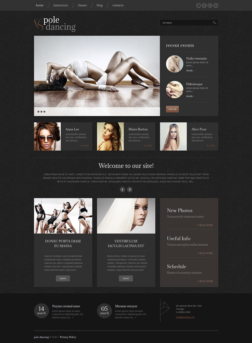 Pole Dancing (theme for your WordPress site) Item Picture