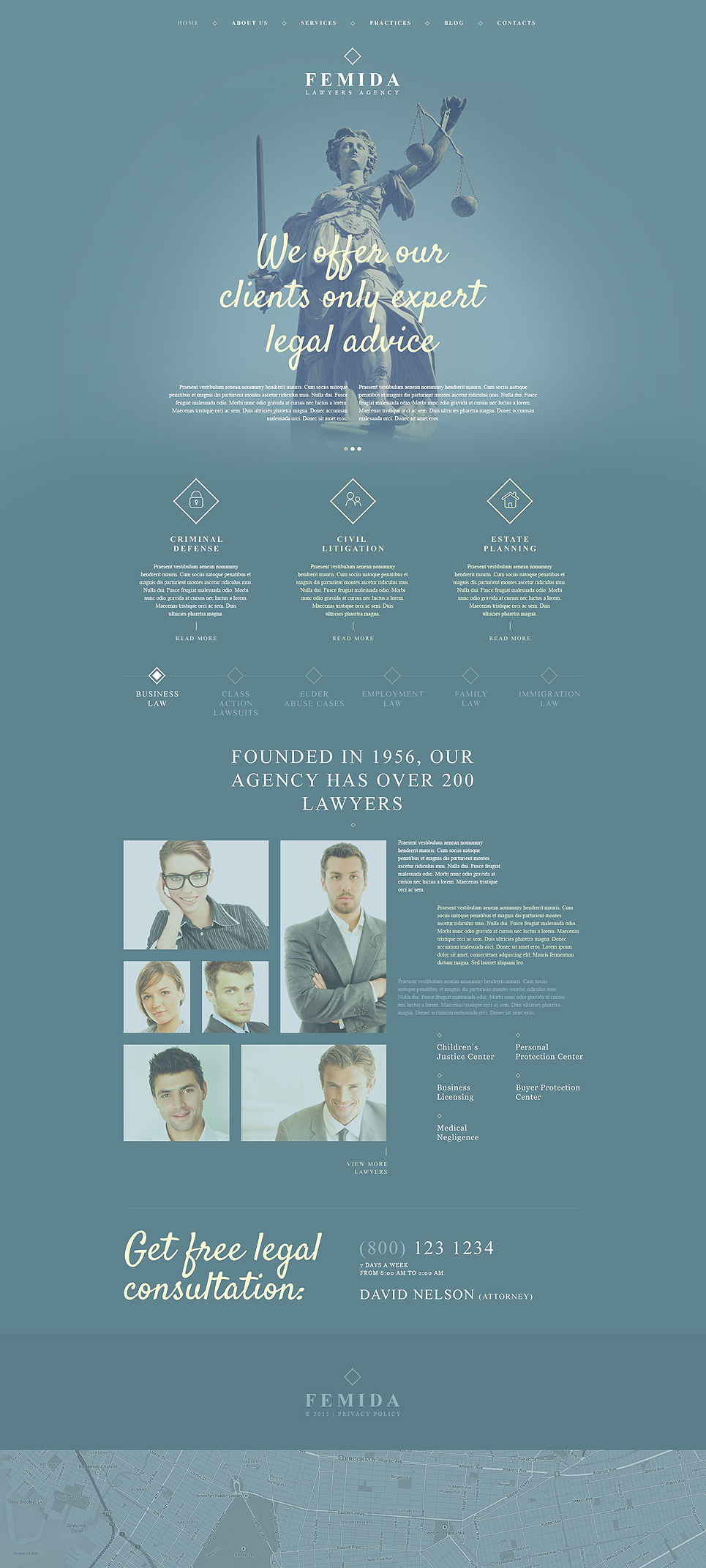 Femida (theme for your WordPress site) Item Picture