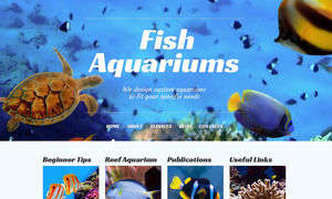 Custom Aquariums
