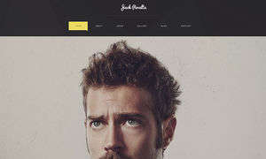 Freelance Writer WordPress Theme