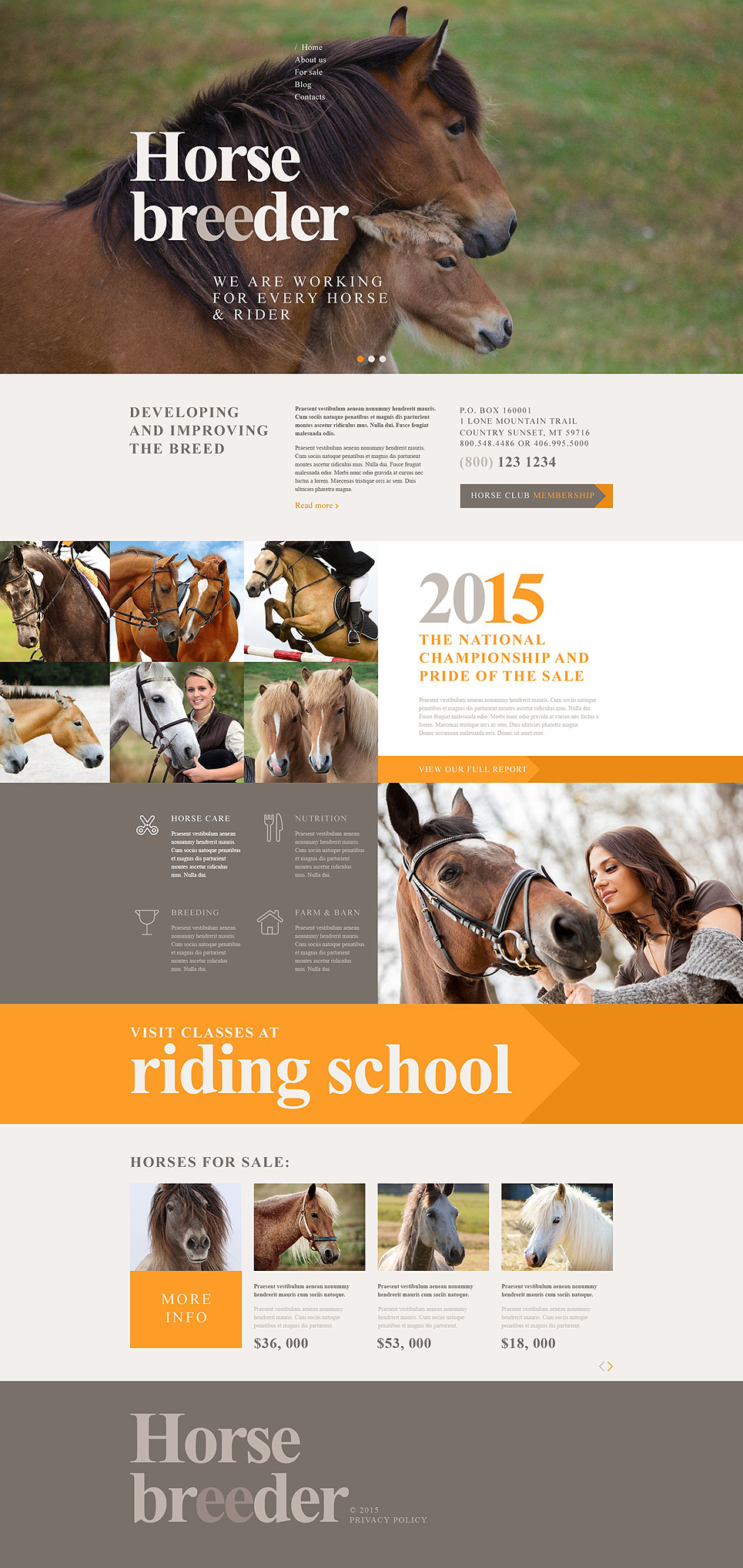 Horse Breeder (theme for WordPress) Item Picture