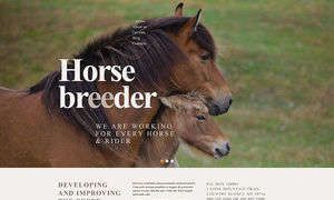 Horse Breeder