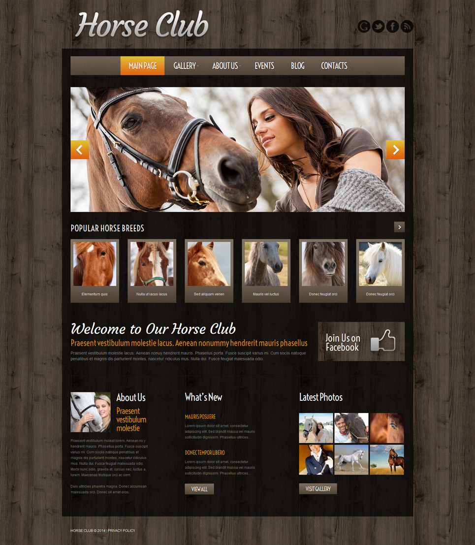 Horse Breeding Farm (theme for WordPress) Item Picture