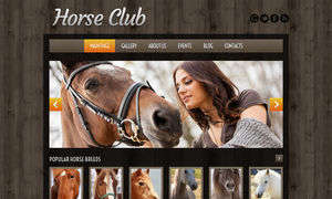 Horse Breeding Farm