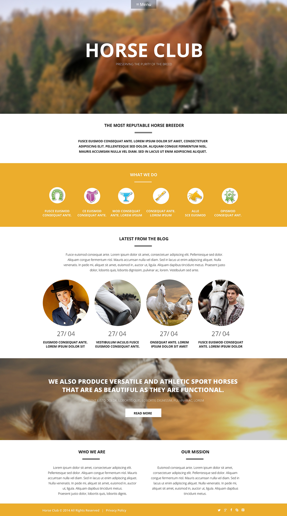 Luxury Horse Breed Care (theme for your WordPress site) Item Picture