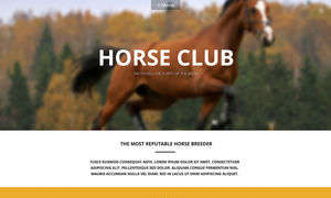 Luxury Horse Breed  Care