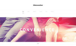 Luxury Limousine Services