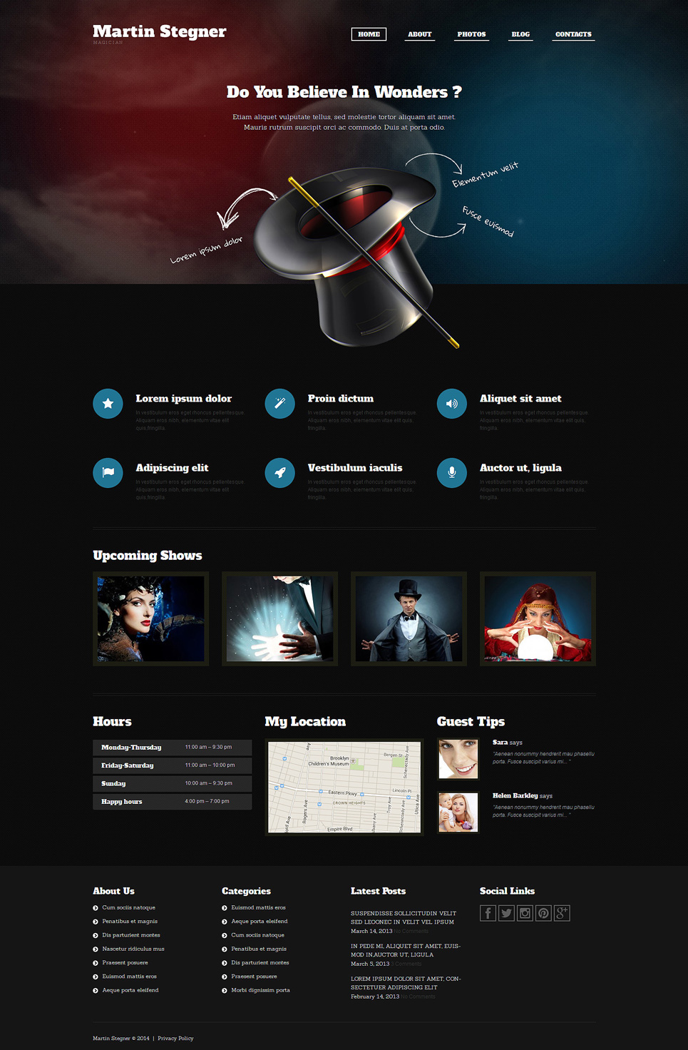 Magician (theme for your WordPress site) Item Picture