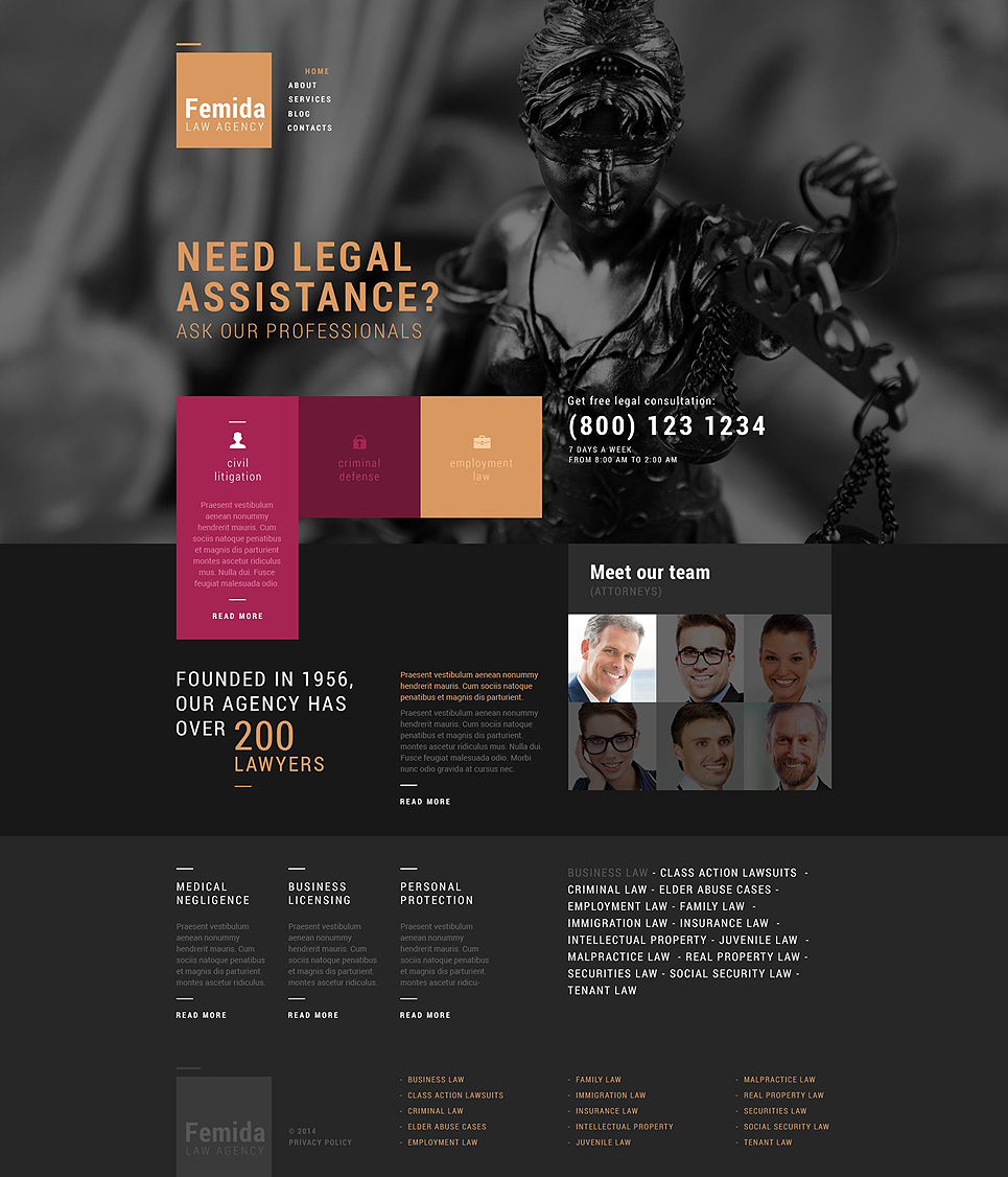 Public Justice Agency (WordPress template) Item Picture