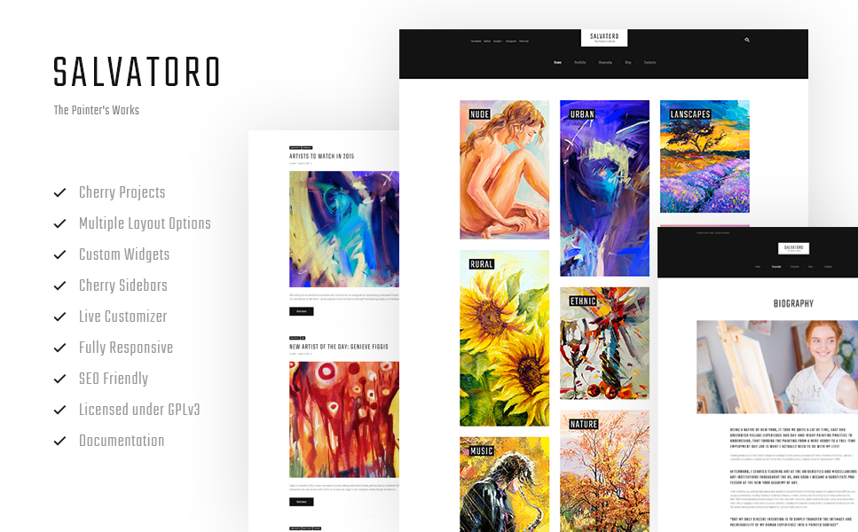 Salvatoro (WordPress theme) Item Picture