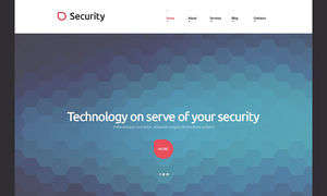 Security Technology