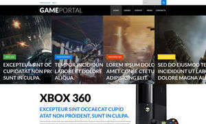 Video Gaming Entertainment