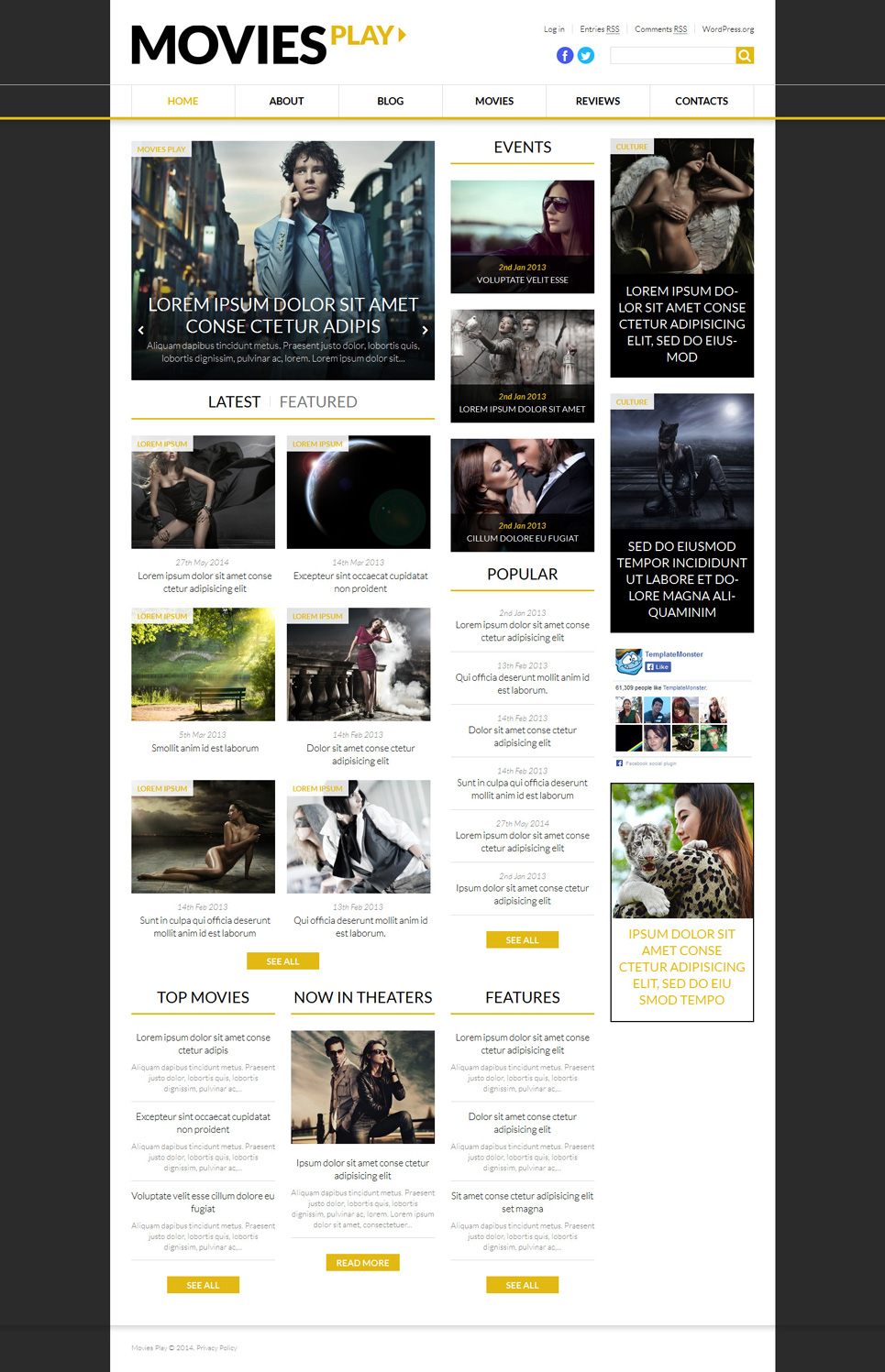 Press Play (theme for your WordPress site) Item Picture