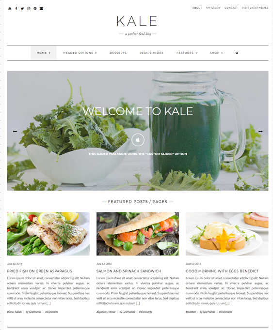 wordpress themes food blogs recipe websites