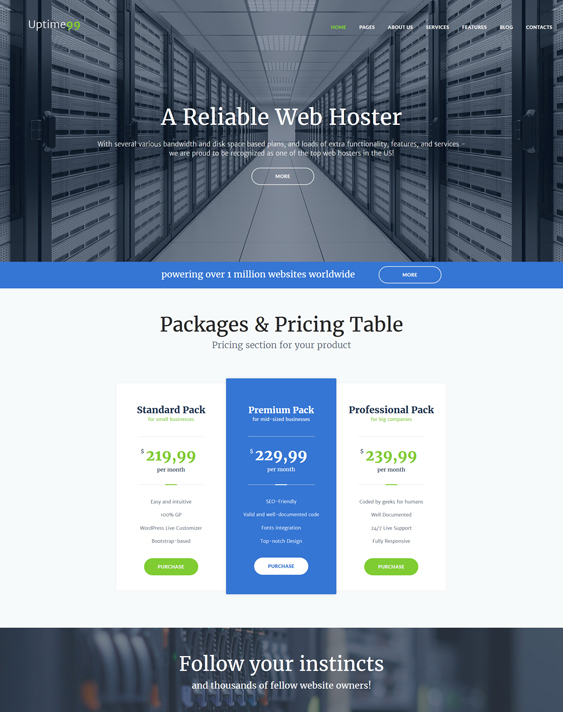 wordpress themes for web hosting companies