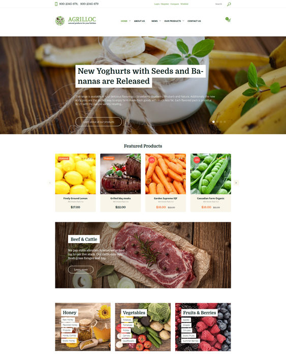 woocommerce themes for selling foods