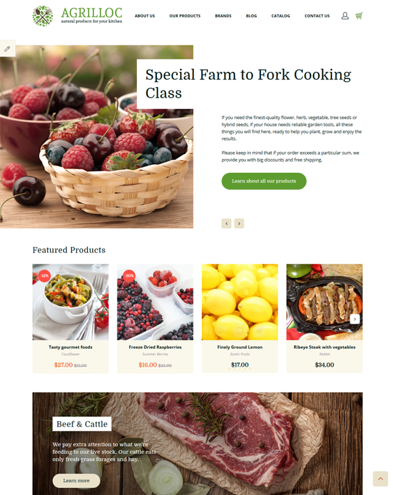 opencart themes for food stores