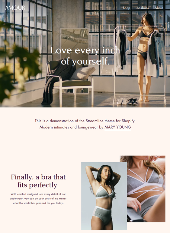 best shopify themes online underwear lingerie stores feature