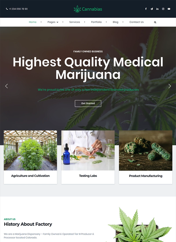 Marijuana And Cannabis WordPress Themes