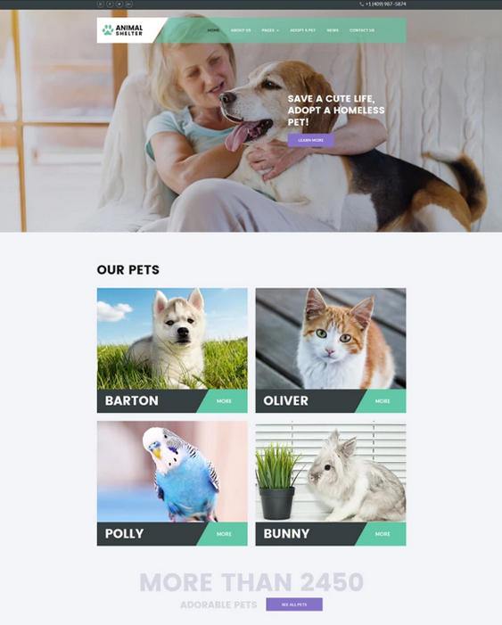 joomla templates for pets and vets feature