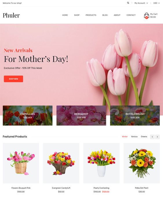 Shopify Themes For Florists And Plant Stores